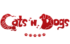 CatsnDogs