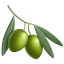 OlivePress λογισμικό
