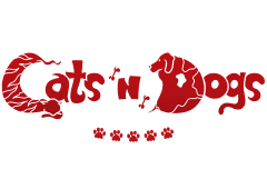 Cats N Dogs
