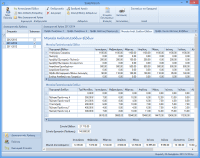 Μηνιαία Ανάλυση Εσόδων-Εξόδων